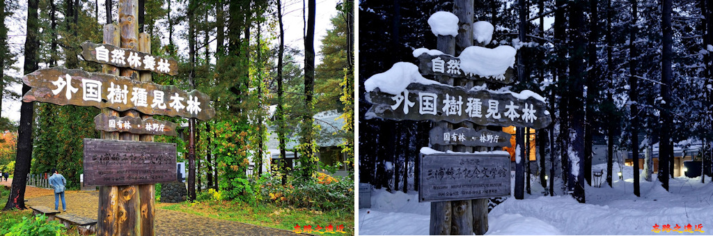 pic pimg tw look2up 1542682259 364408941 jpg