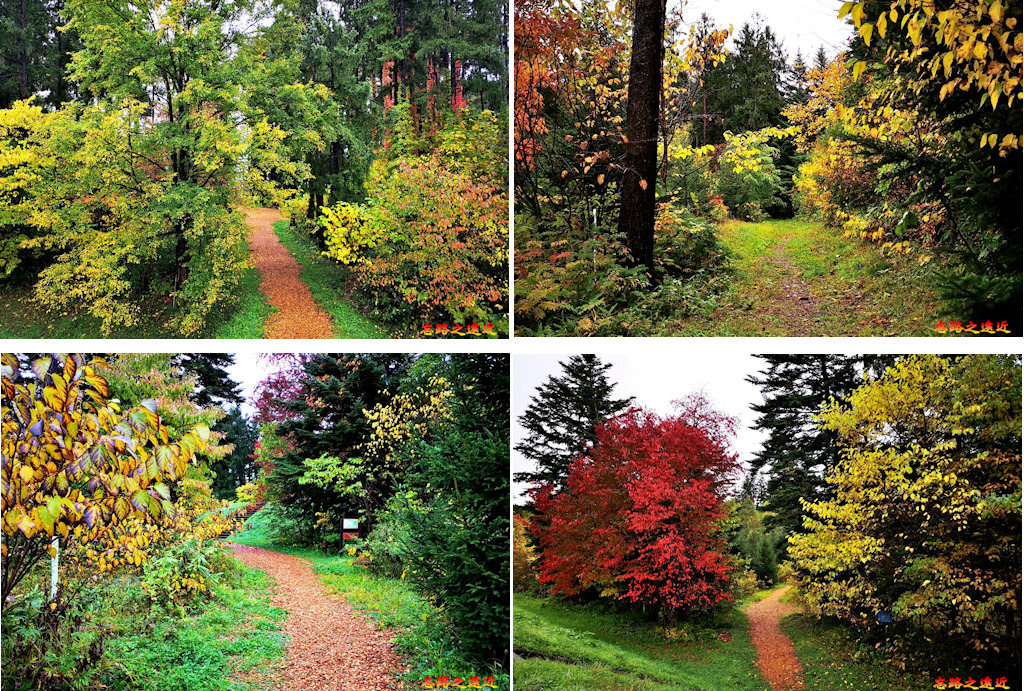 pic pimg tw look2up 1542953378 1579471310 jpg