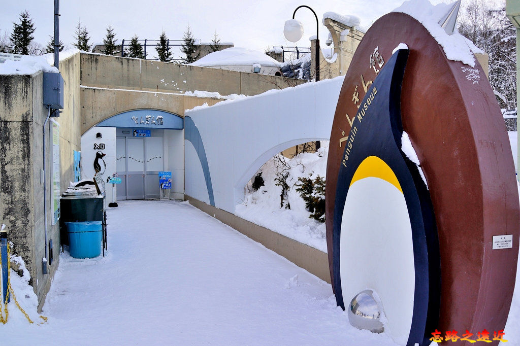 pic pimg tw look2up 1543134691 2232616579 jpg