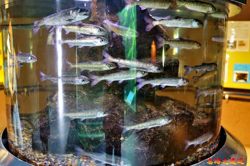 pic pimg tw look2up 1543134696 1829834359 jpg