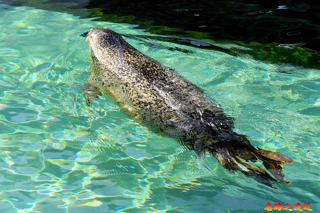 pic pimg tw look2up 1543134698 115508671 jpg