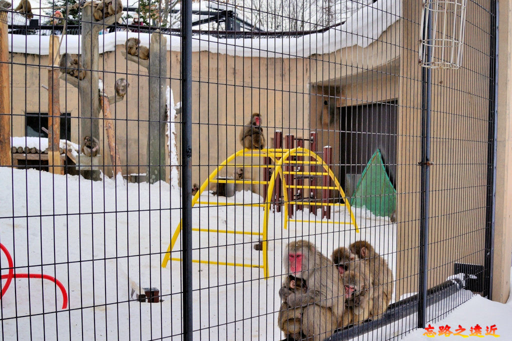 pic pimg tw look2up 1543134726 3863229043 jpg