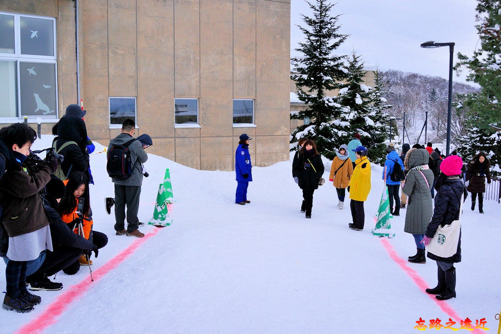 pic pimg tw look2up 1543134728 2688959825 jpg