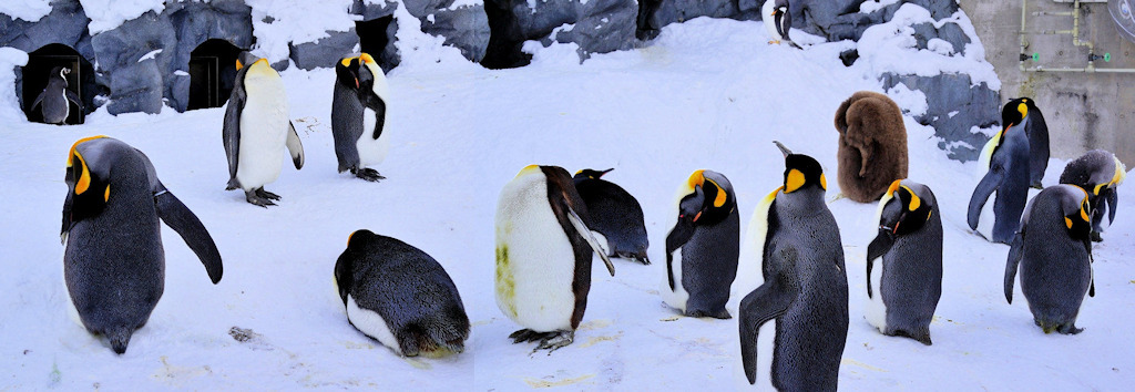 pic pimg tw look2up 1543223059 2729052652 jpg