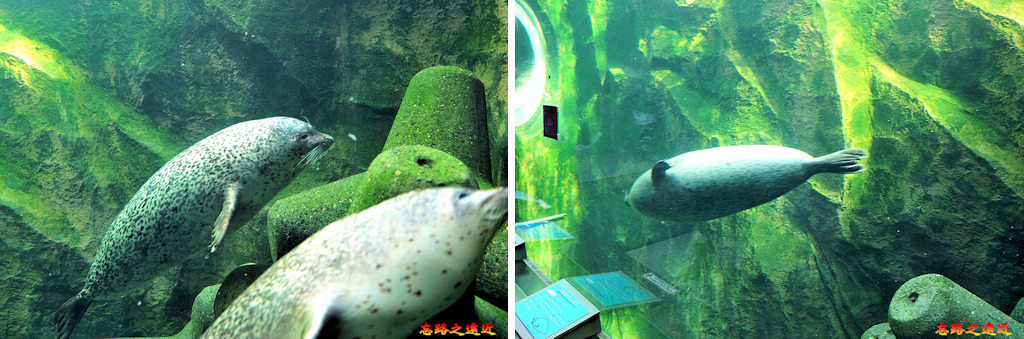 pic pimg tw look2up 1543223859 3866569442 jpg