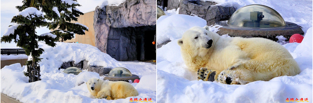 pic pimg tw look2up 1543224852 915858001 jpg