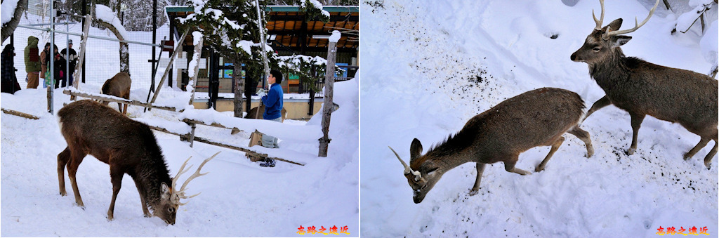 pic pimg tw look2up 1543229178 3410132629 jpg