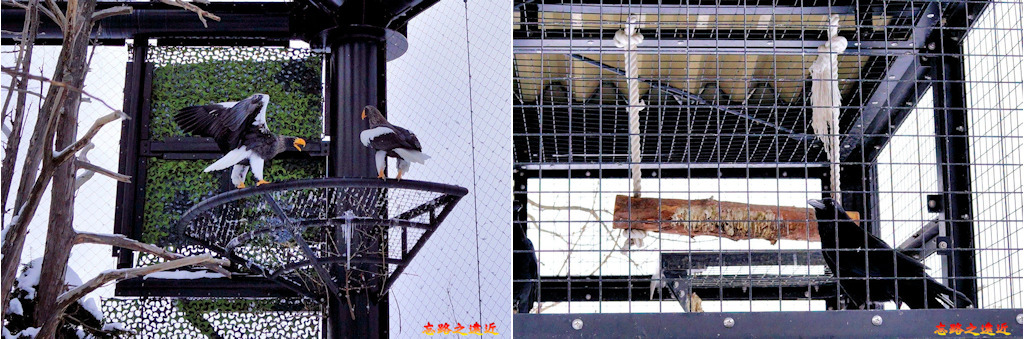 pic pimg tw look2up 1543229179 3333984974 jpg