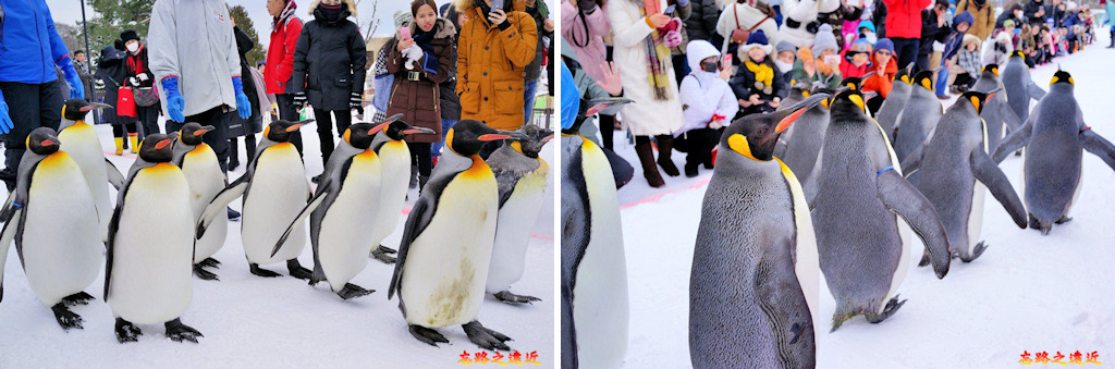 pic pimg tw look2up 1543229184 2115541536 jpg