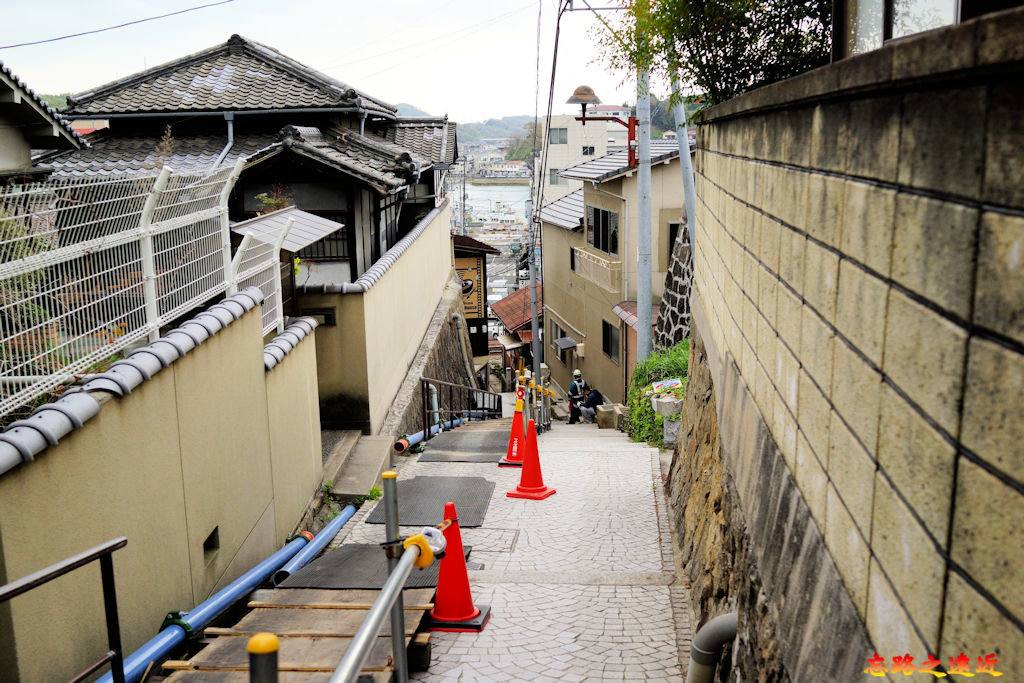 pic pimg tw look2up 1545117234 3491339325 jpg