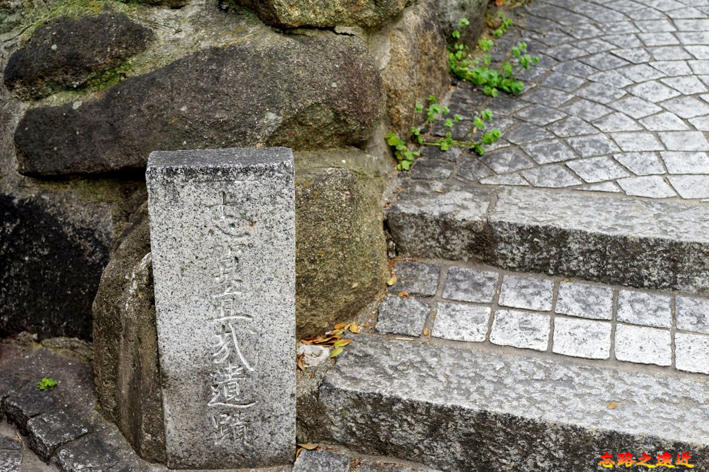 pic pimg tw look2up 1545117255 3709167238 jpg