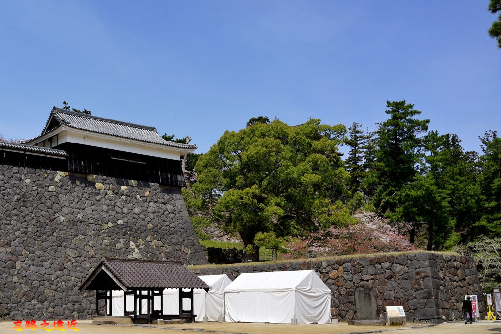 pic pimg tw look2up 1546057866 193367036 jpg