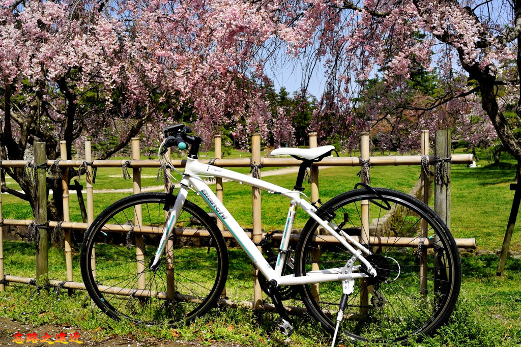 pic pimg tw look2up 1546057870 3281202402 jpg