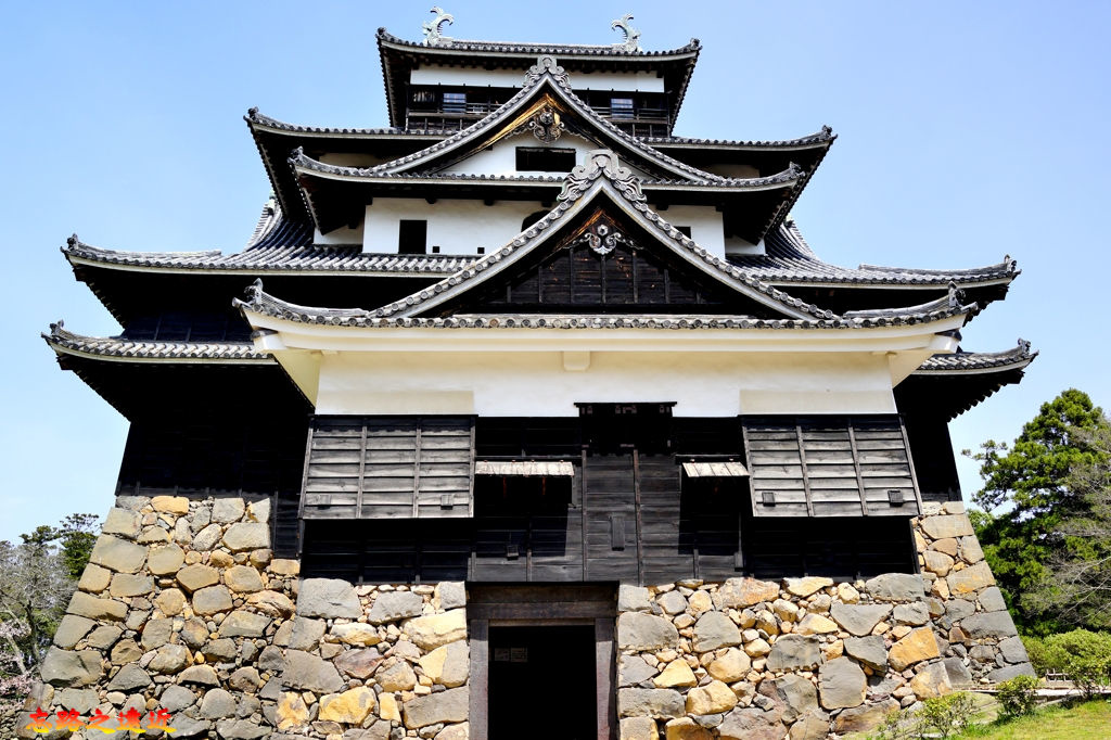 pic pimg tw look2up 1546057889 664112788 jpg