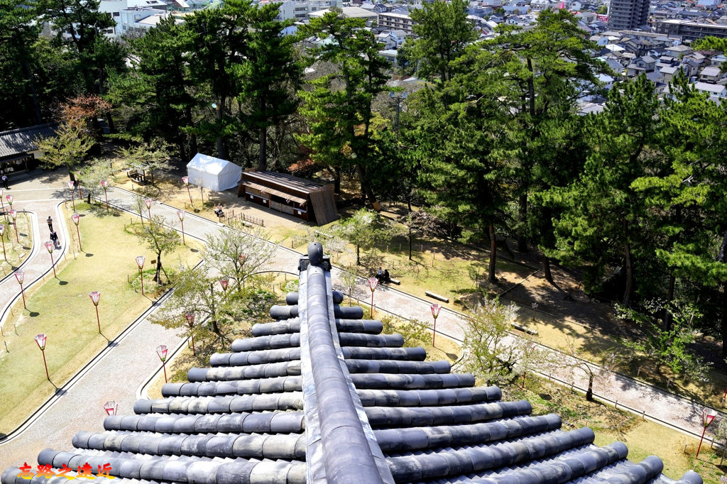 pic pimg tw look2up 1546057904 3336025668 jpg