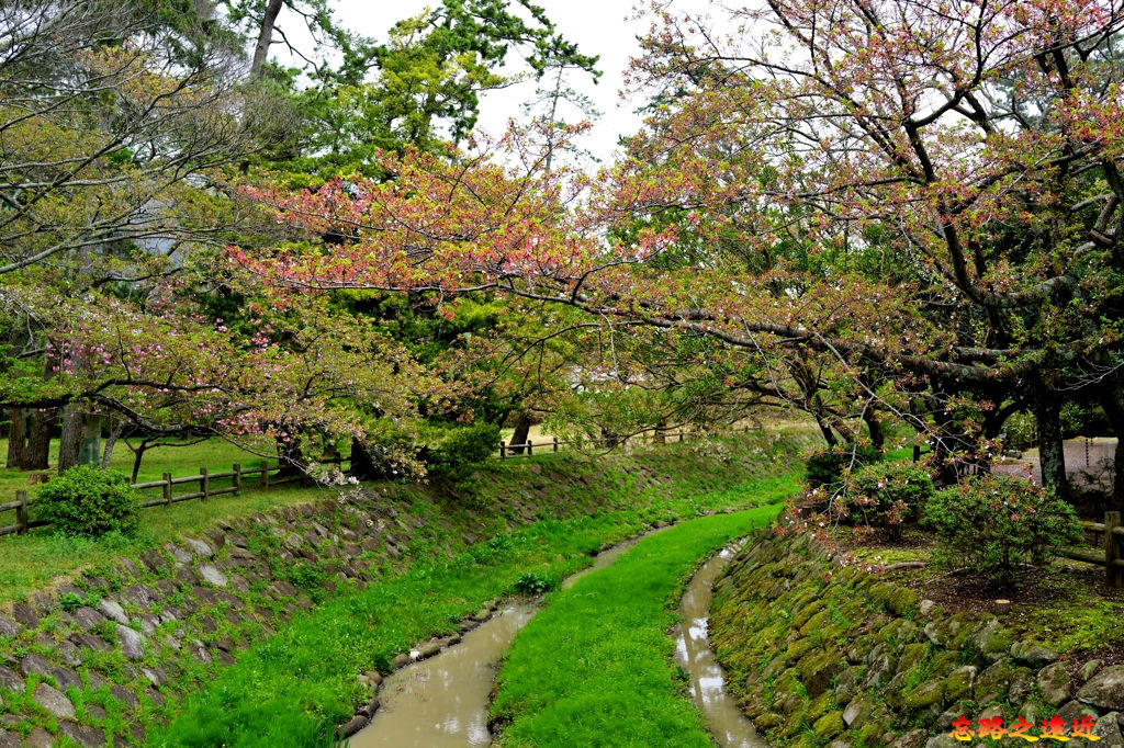 pic pimg tw look2up 1547369132 2062897149 jpg