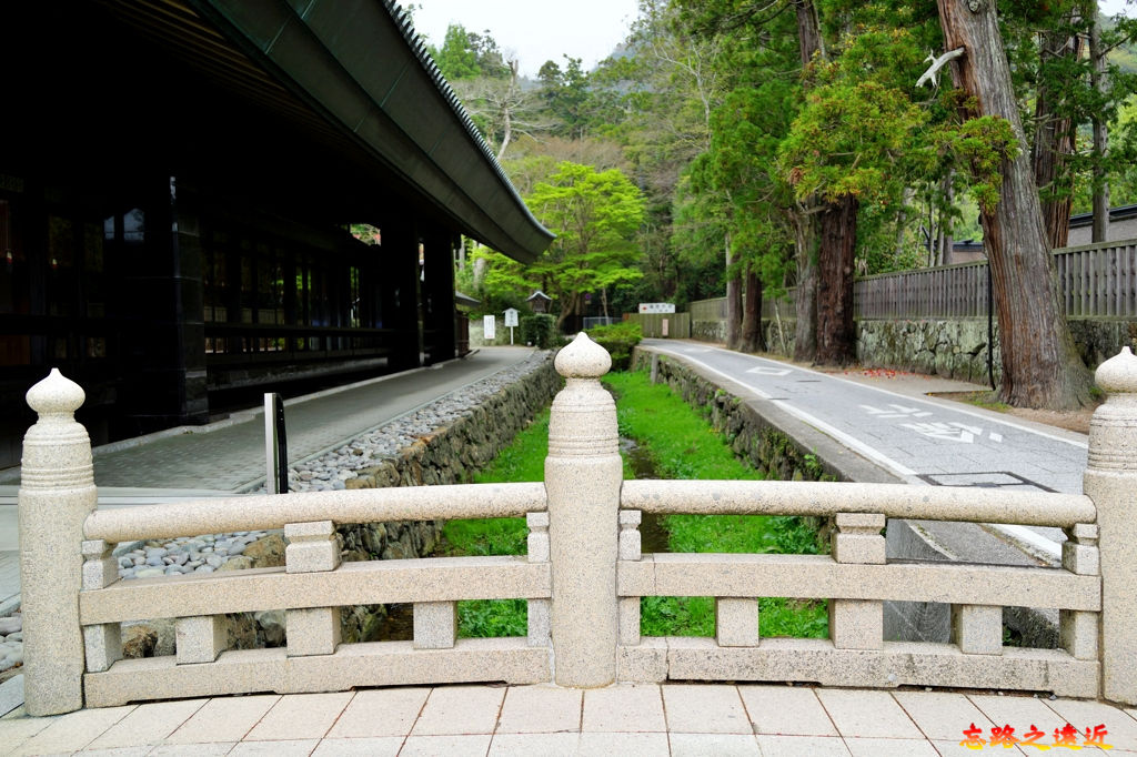 pic pimg tw look2up 1547369149 3984002515 jpg