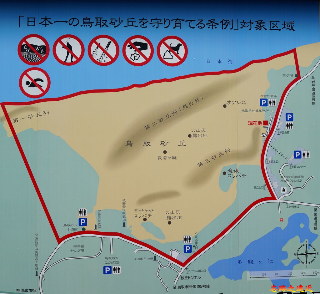 pic pimg tw look2up 1548232446 3703641753 jpg