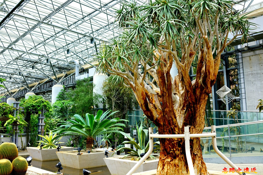 pic pimg tw look2up 1553512418 581923392 jpg