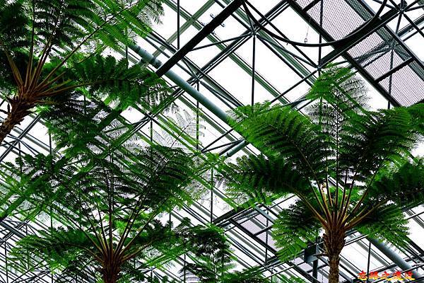 pic pimg tw look2up 1553512419 32822048 n jpg