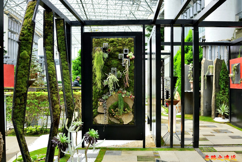 pic pimg tw look2up 1553512421 684232147 jpg