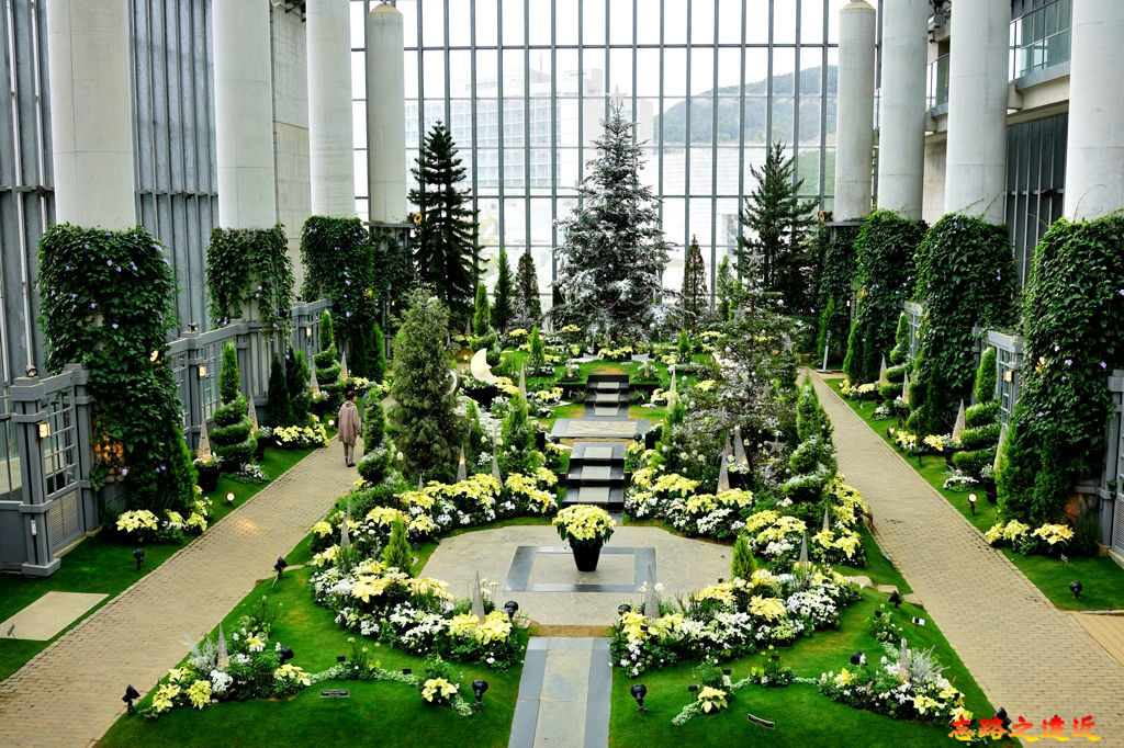 pic pimg tw look2up 1553512423 2821702663 jpg