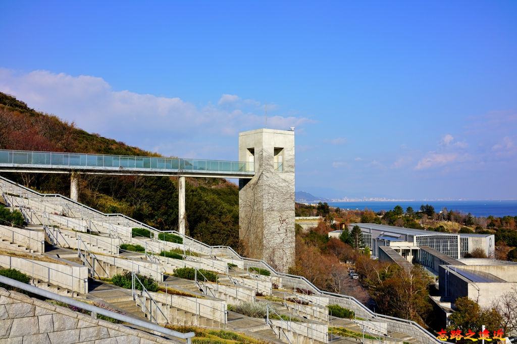 pic pimg tw look2up 1553512430 3749543974 jpg