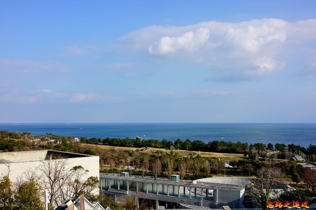 pic pimg tw look2up 1553512431 3500505124 jpg