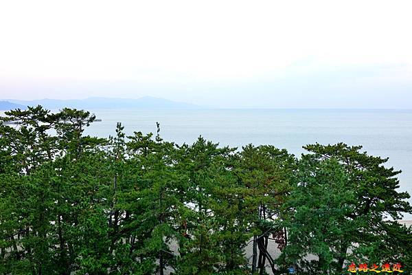 pic pimg tw look2up 1553928419 3938104819 n jpg