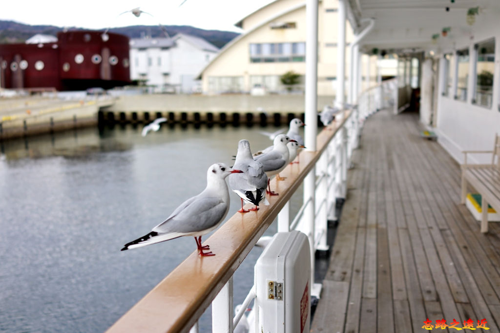 【關西.兵庫.淡路島】搭觀潮船觀賞世界三大漩渦之一的「鳴門漩渦 (渦潮)」完整介紹 (含:交通) 22 pic pimg tw look2up 1555401474 1610367677 jpg