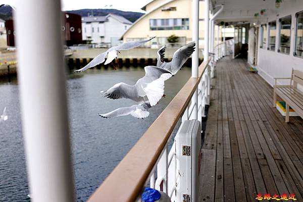 【關西.兵庫.淡路島】搭觀潮船觀賞世界三大漩渦之一的「鳴門漩渦 (渦潮)」完整介紹 (含:交通) 21 pic pimg tw look2up 1555401474 2014780789 n jpg