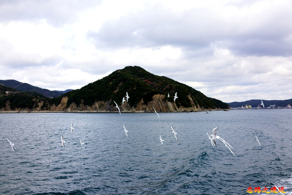 【關西.兵庫.淡路島】搭觀潮船觀賞世界三大漩渦之一的「鳴門漩渦 (渦潮)」完整介紹 (含:交通) 25 pic pimg tw look2up 1555401477 3317493414 jpg