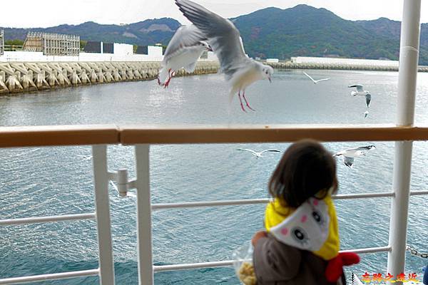【關西.兵庫.淡路島】搭觀潮船觀賞世界三大漩渦之一的「鳴門漩渦 (渦潮)」完整介紹 (含:交通) 28 pic pimg tw look2up 1555473189 1431790764 n jpg