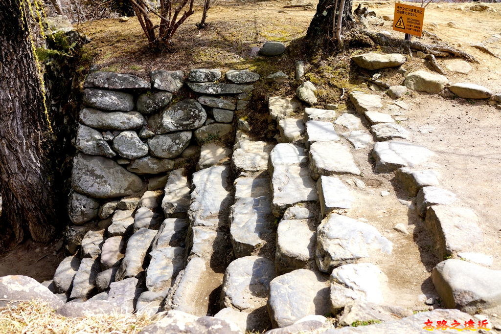 pic pimg tw look2up 1555825933 577220696 jpg