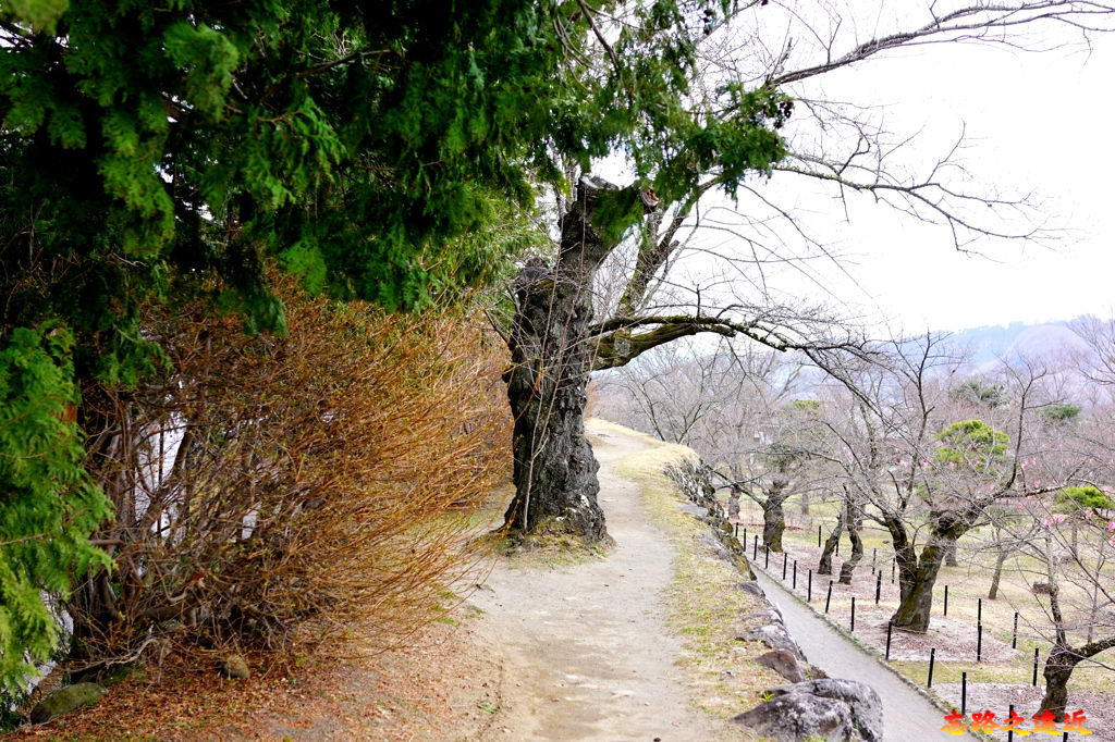 pic pimg tw look2up 1555825935 2204403664 jpg