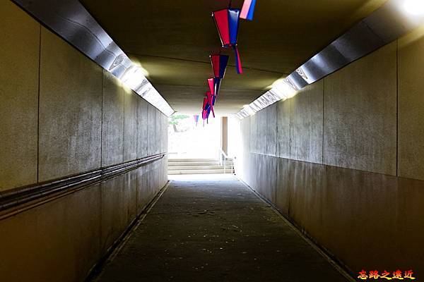 pic pimg tw look2up 1555825949 3580999353 n jpg