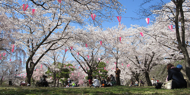 pic pimg tw look2up 1555825953 2635211817 jpg