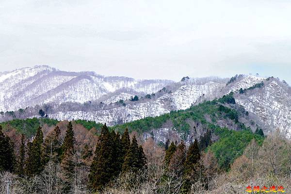 pic pimg tw look2up 1557726350 1766167490 n jpg