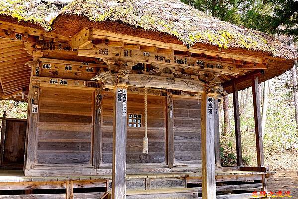 pic pimg tw look2up 1557726380 760522753 n jpg