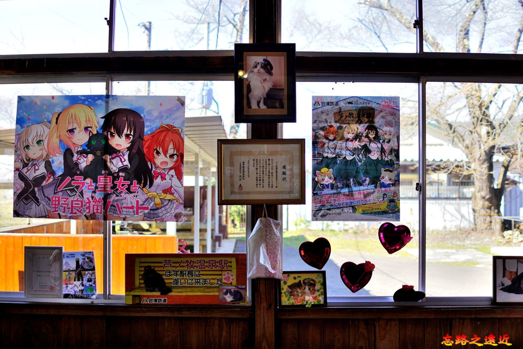 【東北.福島】貓站長執勤中.... ~~「蘆之牧溫泉」站 (「貓之戀」站-推薦給諸位貓奴們 9 pic pimg tw look2up 1558340093 3318548462 jpg