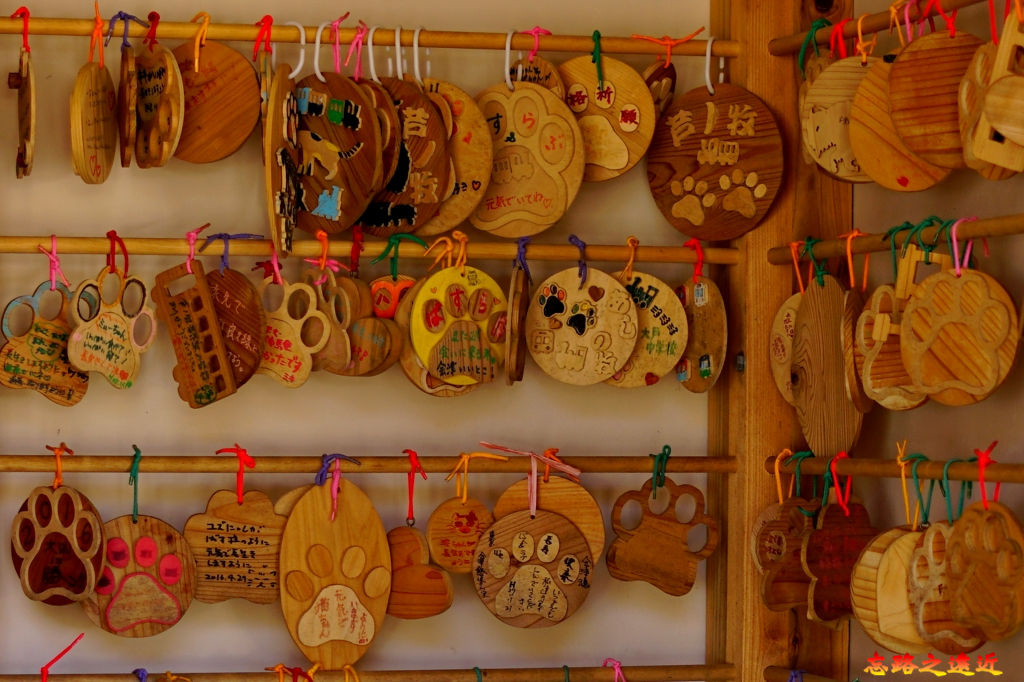 【東北.福島】貓站長執勤中.... ~~「蘆之牧溫泉」站 (「貓之戀」站-推薦給諸位貓奴們 22 pic pimg tw look2up 1558340099 1425729405 jpg