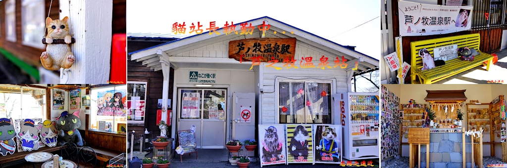 【東北.福島】貓站長執勤中.... ~~「蘆之牧溫泉」站 (「貓之戀」站-推薦給諸位貓奴們 1 pic pimg tw look2up 1558406032 1447440028 jpg