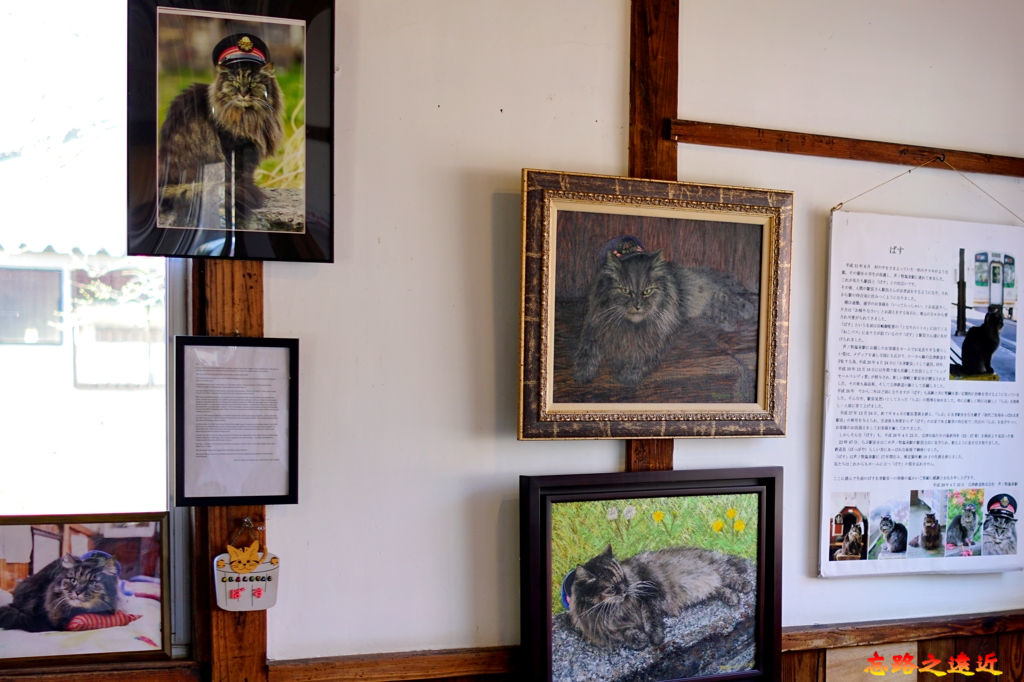 【東北.福島】貓站長執勤中.... ~~「蘆之牧溫泉」站 (「貓之戀」站-推薦給諸位貓奴們 8 pic pimg tw look2up 1558415444 1587860355 jpg