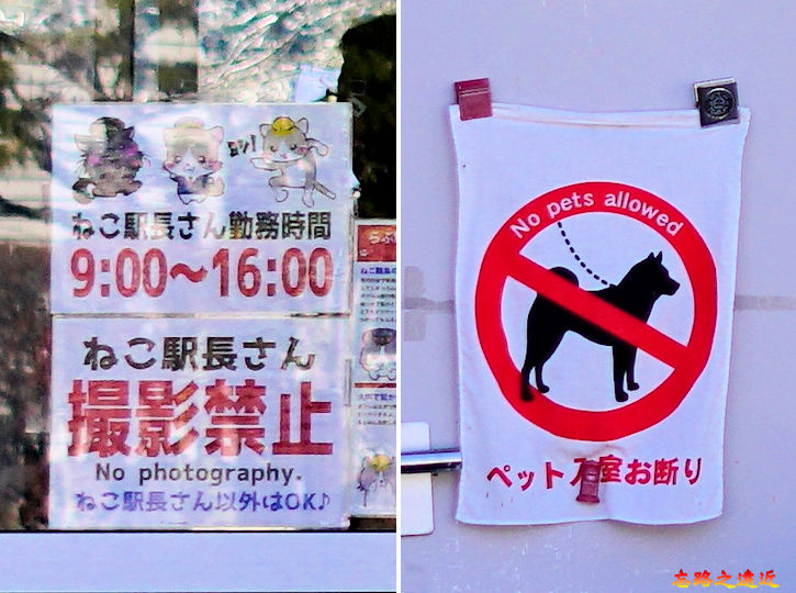 【東北.福島】貓站長執勤中.... ~~「蘆之牧溫泉」站 (「貓之戀」站-推薦給諸位貓奴們 14 pic pimg tw look2up 1558421544 639940246 jpg