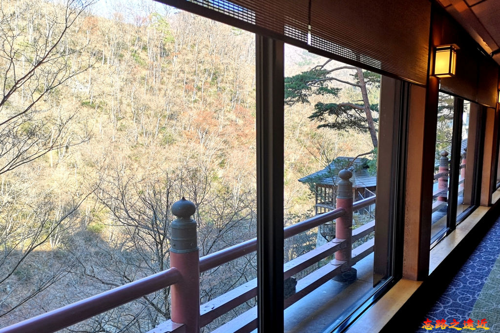 pic pimg tw look2up 1558772549 3223656126 jpg