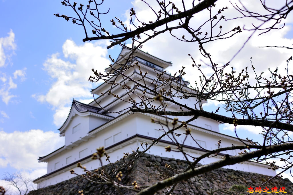 pic pimg tw look2up 1558958477 3634454519 jpg