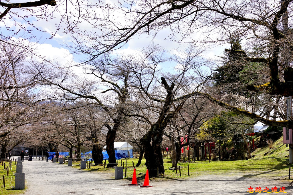 pic pimg tw look2up 1558958480 3375772721 jpg