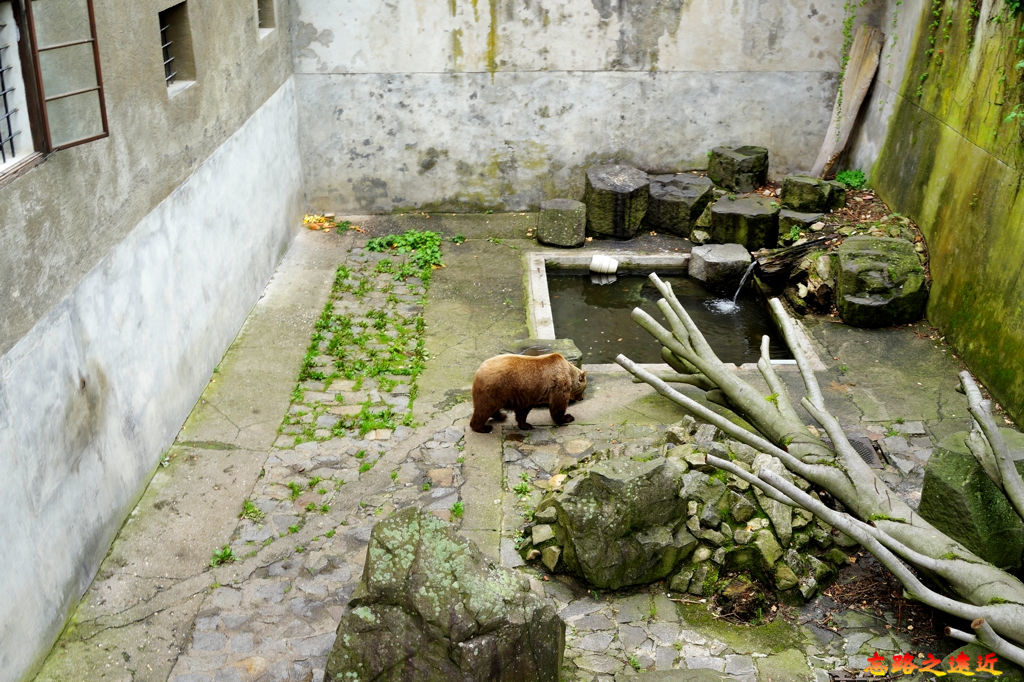 pic pimg tw look2up 1562040359 2344890851 jpg