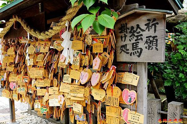 pic pimg tw look2up 1564819668 2658930207 n jpg