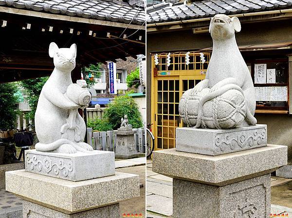 pic pimg tw look2up 1564819689 1782657847 n jpg